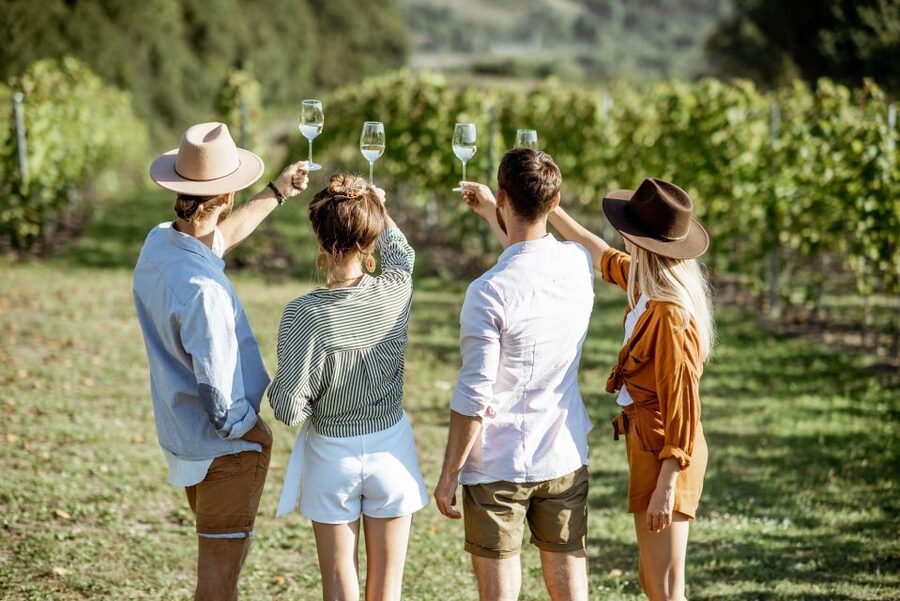 Taormina: Guided Etna Wine Tasting Half-Day Tour - Key points at a glance