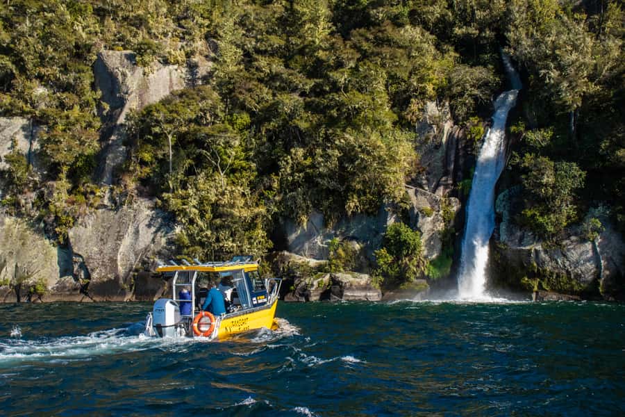Taupo: Lake Taupo Western Bays Catamaran Tour with Bush Walk - Key points at a glance