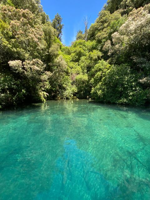 Taupo: Lake Taupo Western Bays Catamaran Tour with Bush Walk - Who will enjoy this Taupo boat trip?
