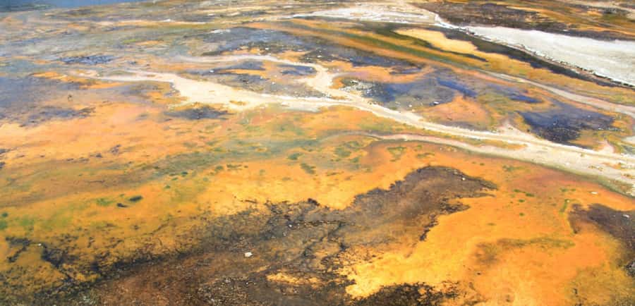Taupo: Orakei Korako Geothermal Park and Cave Entry Ticket - Geysers, hot springs, and bubbling mud