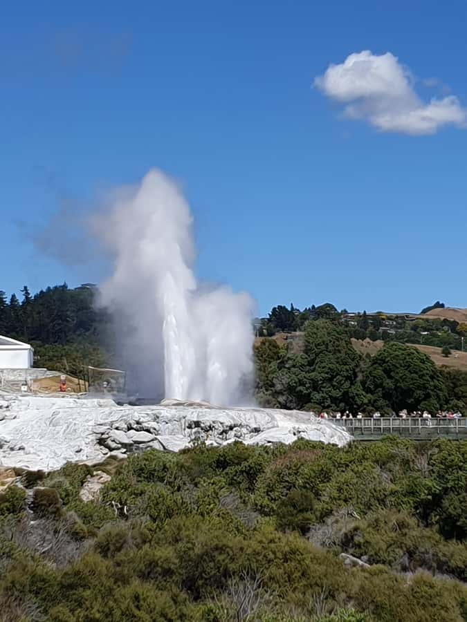 Tauranga: Rotorua Redwoods Tour & Maori Village Experience - Whakarewarewa, where geothermal life meets Maori culture