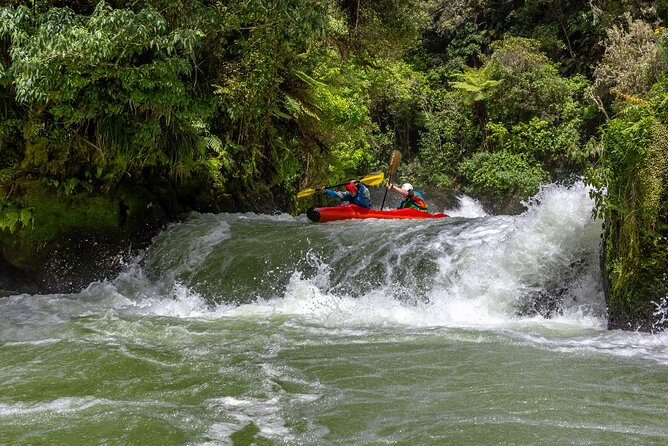 Tauranga Shore Excursion: Rotorua Highlights - Key points to know before booking