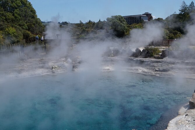 Tauranga Shore Excursion: Rotorua Highlights - From Tauranga port to Rotorua’s geothermal heart