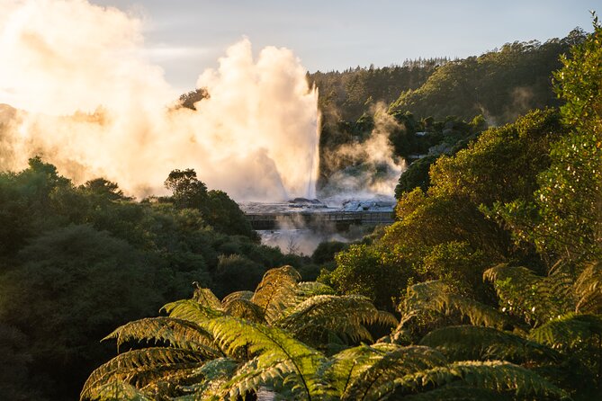 Te Puia Rotorua Experience with Optional Activities – Ex Auckland - The return to Auckland and the real time commitment