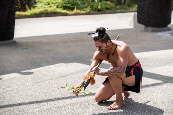 Te Puia Rotorua Experience with Optional Activities – Ex Auckland - Who will get the most from this tour