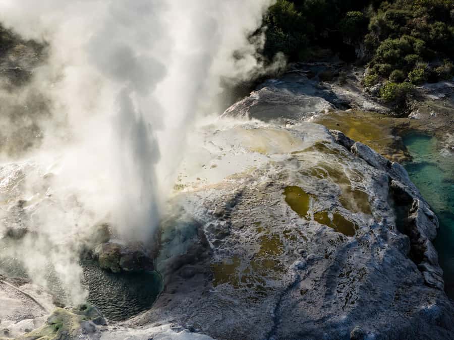 Te Puia: Te Rā Guided Day Tour - Should you book Te Puia’s Te Rā tour?