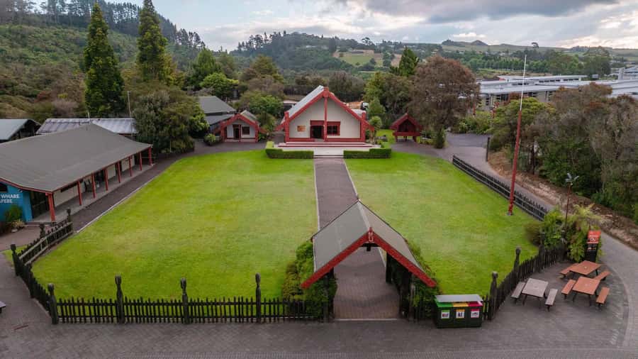 Te Puia: Te Rā Guided Day Tour + Haka Cultural Performance - Why Te Puia works as a Rotorua introduction