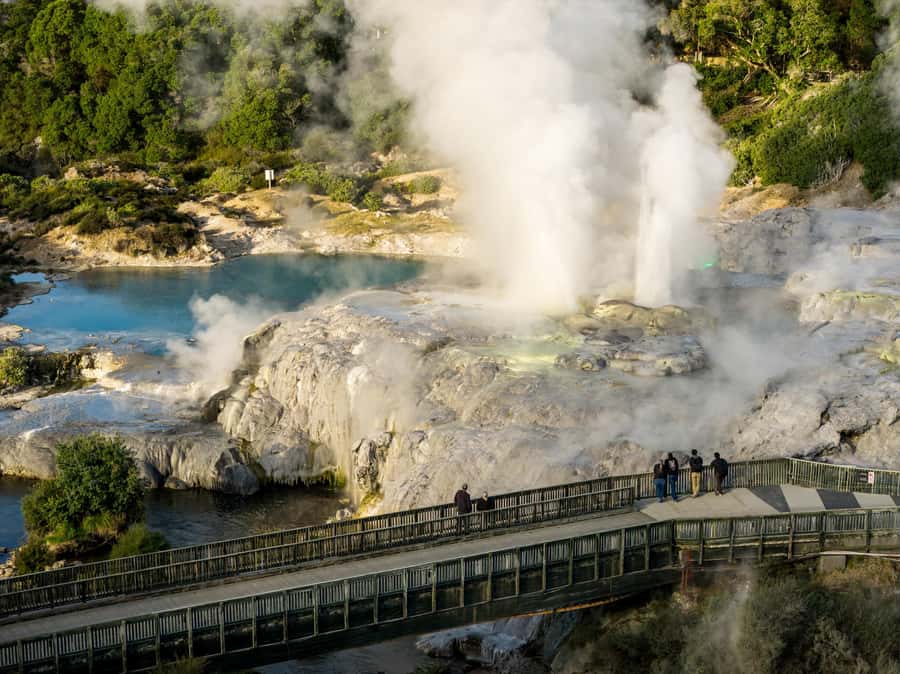 Te Puia: Te Rā Guided Day Tour - Kiwi Conservation Centre: a quiet encounter with New Zealand’s icon
