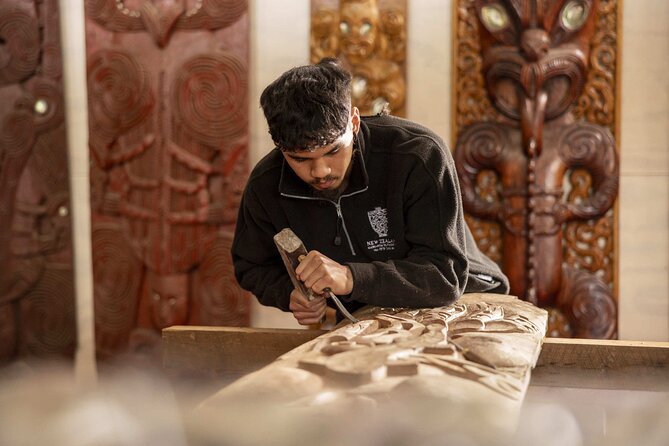 Te Puia: Te Rā Guided Experience - The kiwi centre and a rare close look