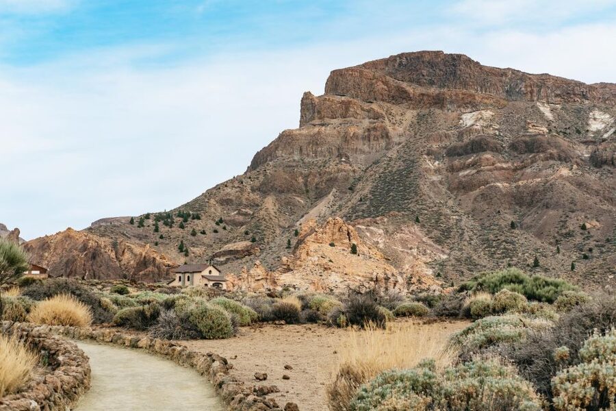 Teide: Guided Sunset & Stargazing Tour by Night with Dinner - Should you book this Teide evening?
