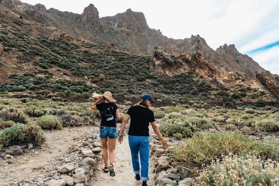 Teide: Guided Sunset & Stargazing Tour by Night with Dinner - The night sky, lasers, and telescopes