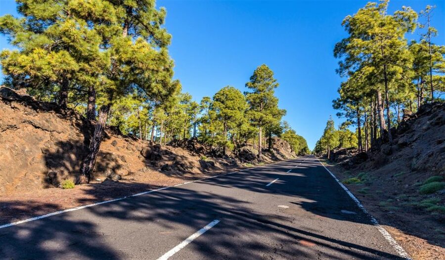 Teide: Guided Sunset & Stargazing Tour by Night with Dinner - Comfort, access, and the practical trade-offs