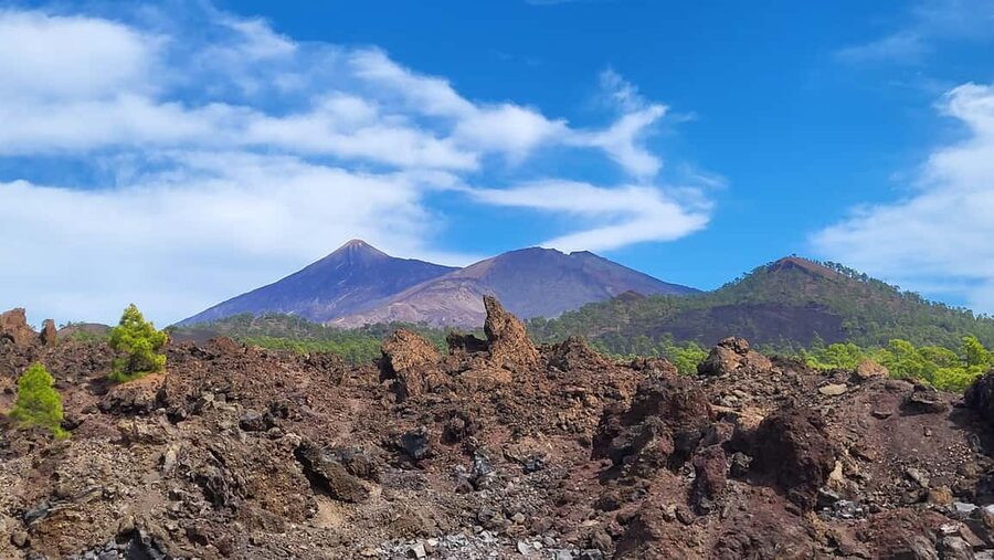 Teide National Park and Vilaflor - Pine forest viewpoints on the way to Vilaflor