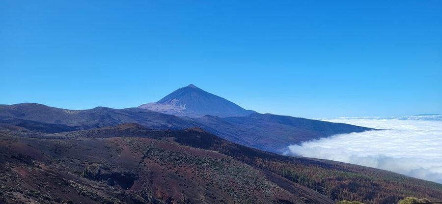Teide National Park and Vilaflor - The Abona wine region and the optional tasting