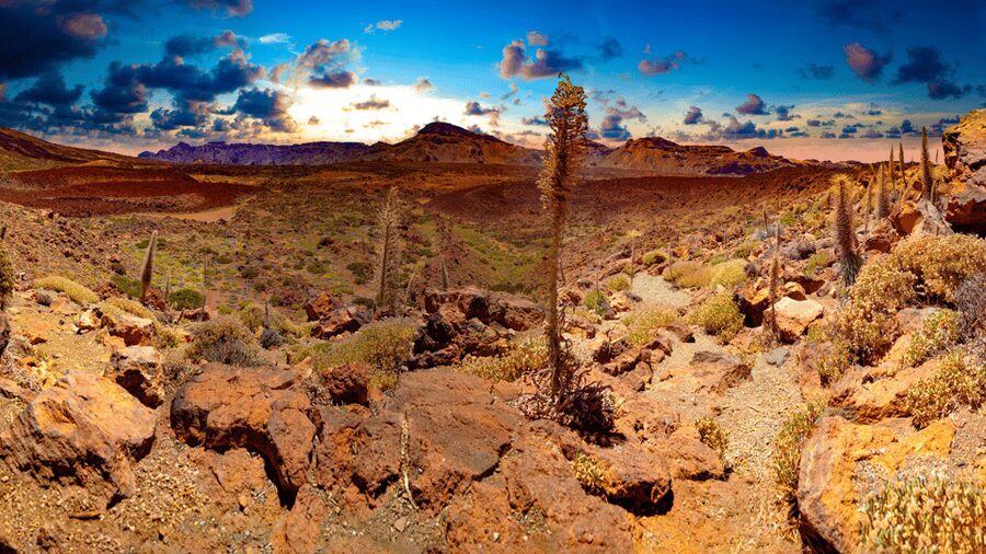 Teide National Park: Landscapes and Viewpoints Private Tour - Why Teide feels unlike the rest of Tenerife