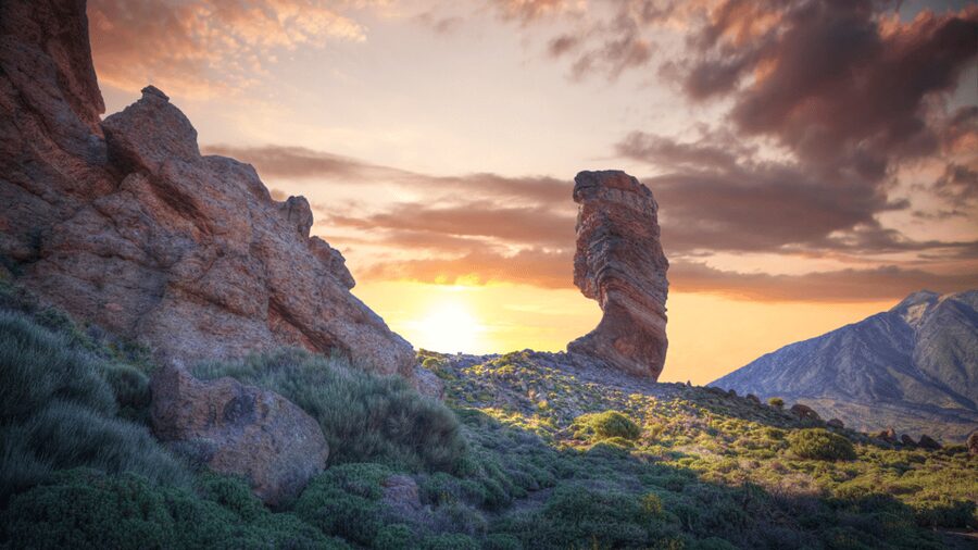 Teide National Park: Landscapes and Viewpoints Private Tour - A private six-hour route from your hotel