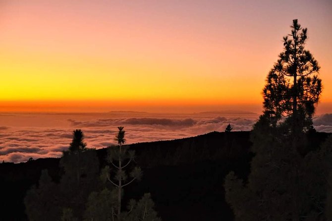 Teide National Park Sunset & Stargazing with Dinner (Star Safari) - Is $95.53 good value?