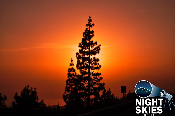Teide National Park Sunset & Stargazing with Dinner (Star Safari) - A three-course Canarian dinner at Restaurante 7 Cañadas