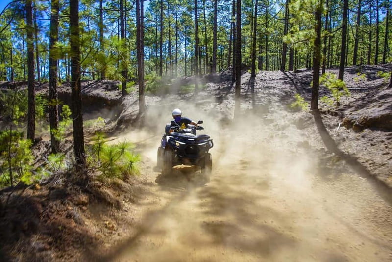 Teide Quad Tour - Tenerife - From Playa de las Américas to Teide’s high country
