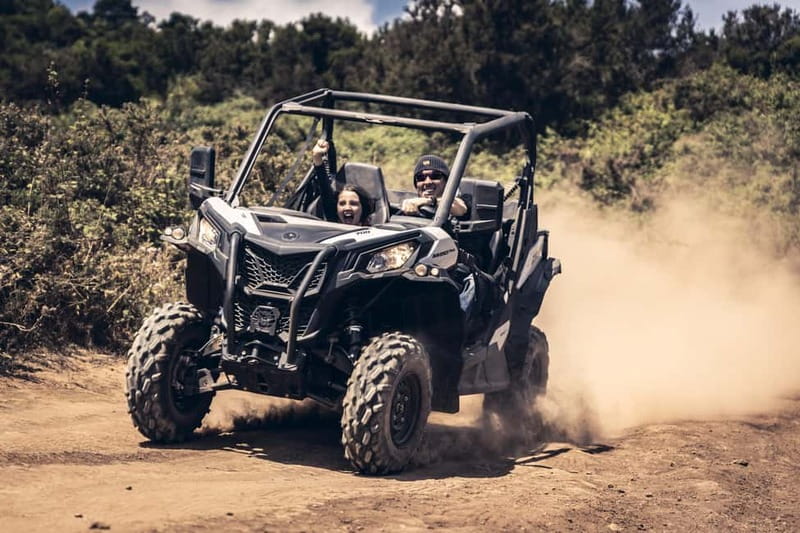 Tenerife: Guided Buggy Discovery Tour around Mount Teide - Group size, languages, and the feel of the day