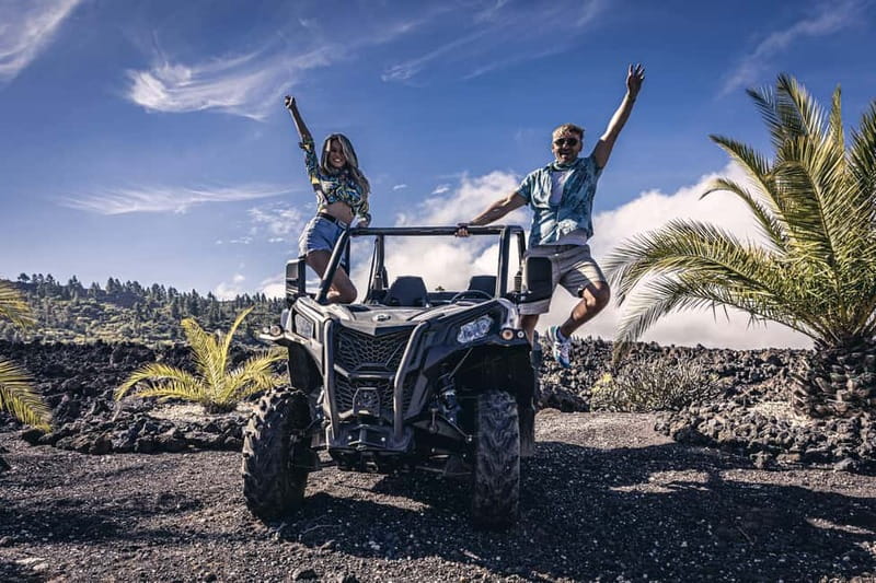 Tenerife: Guided Buggy Discovery Tour around Mount Teide - What the $225 price means