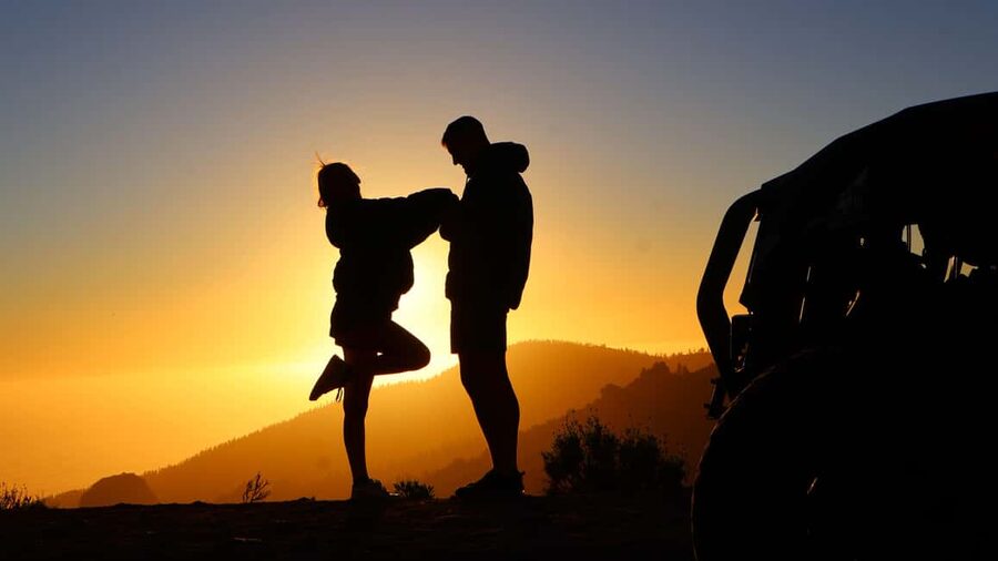 Tenerife: MORNING - 3H Buggy tour of Teide - Booking flexibility and practical planning