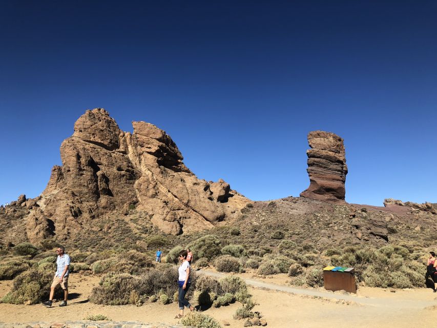 Tenerife: Mount Teide, Masca, Icod and Garachico Day Trip - Guides, languages, and the pace of the day