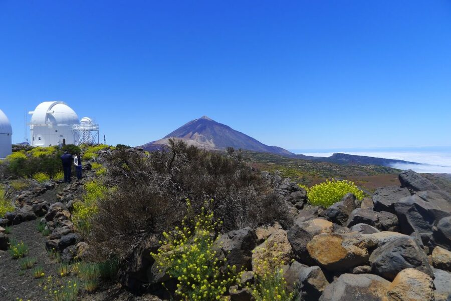 Tenerife: Mount Teide Observatory Astronomical Tour - The night sky through powerful telescopes