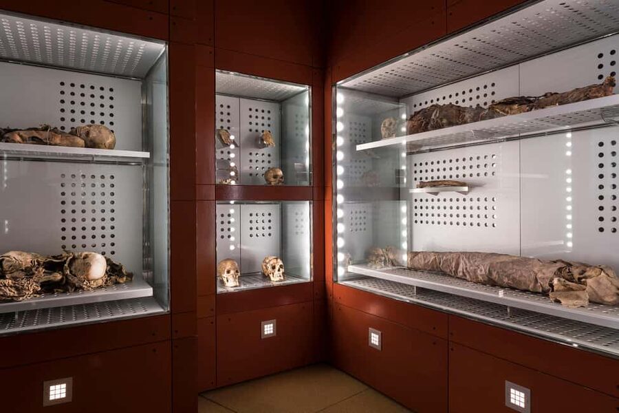 Tenerife: MUNA Museum Admission Ticket and Teide Legend Tour - Key points to know before booking
