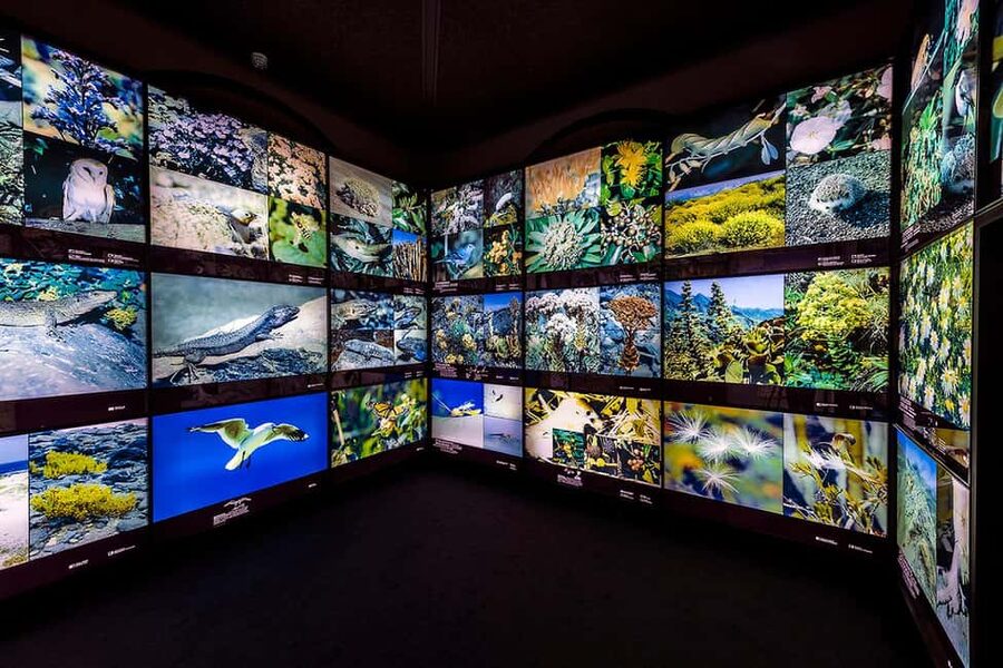 Tenerife: MUNA Museum Admission Ticket and Teide Legend Tour - Science and Legend at the Cable Car Visitors’ Centre