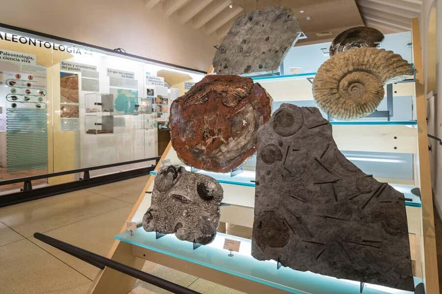 Tenerife: MUNA Museum Admission Ticket and Teide Legend Tour - Planning the two visits without stress