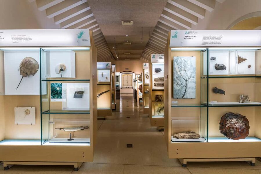 Tenerife: MUNA Museum Admission Ticket and Teide Legend Tour - Languages, rules, and what to bring