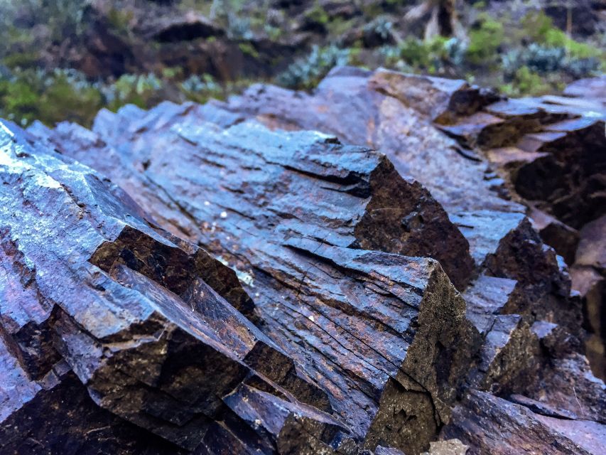 Tenerife Private Tour: Full-Day Volcanic South - Vilaflor and the change in altitude