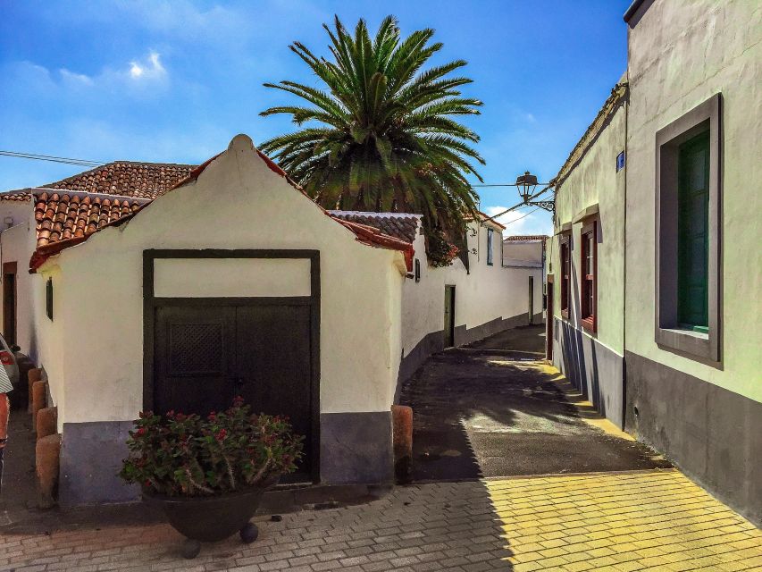 Tenerife Private Tour: Full-Day Volcanic South - Price, group size, and value