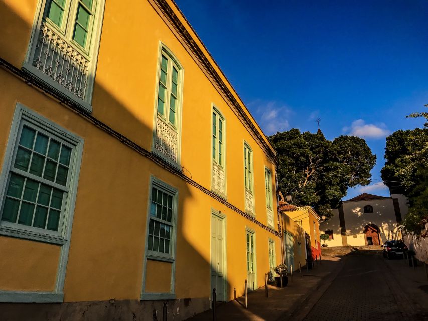 Tenerife Private Tour: Full-Day Volcanic South - San Miguel and the wide volcanic view