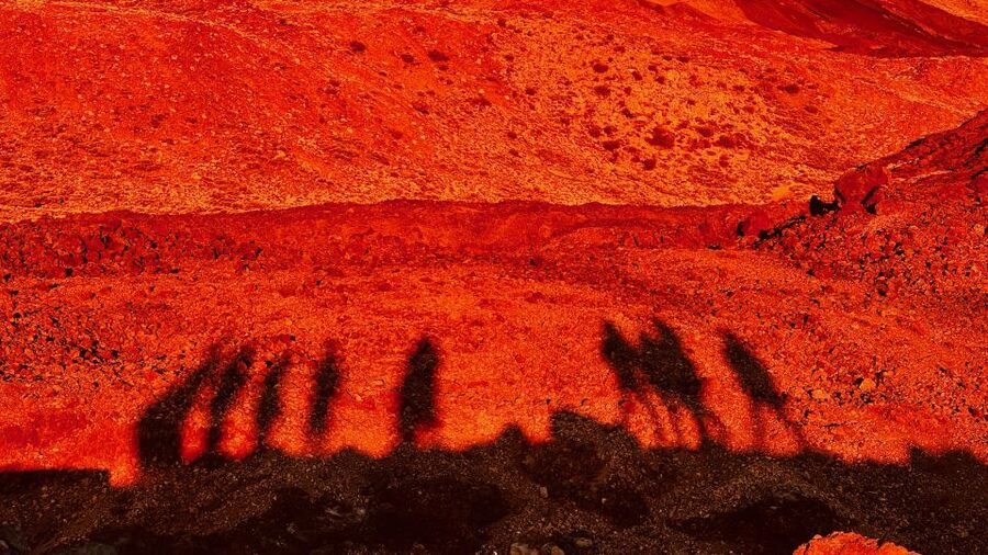 Tenerife: Private VIP Tour Teide National Park - Film scenery, rare plants, and open views