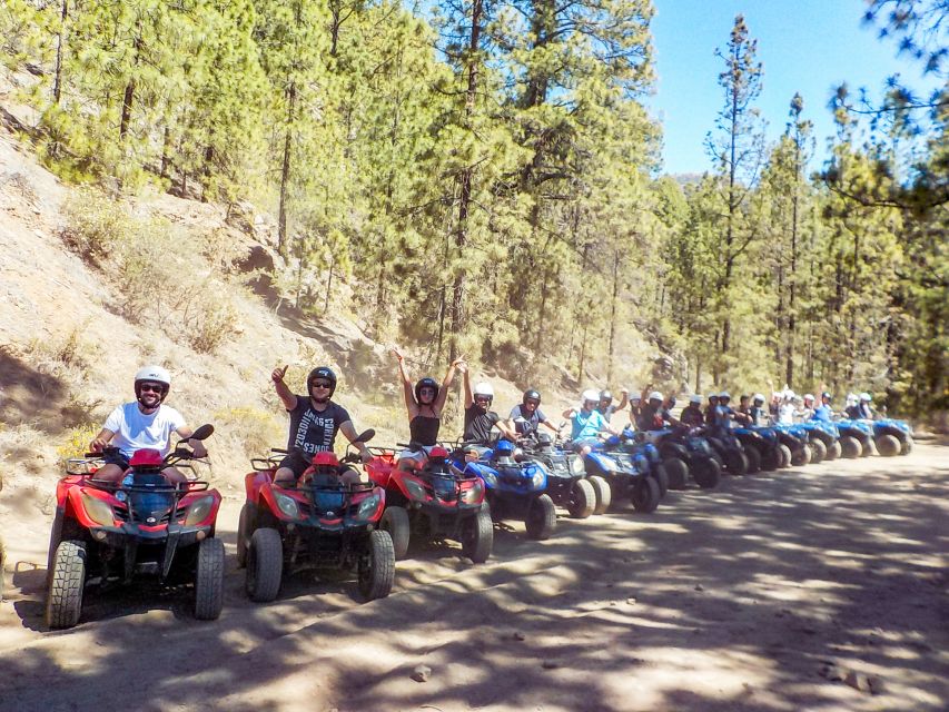 Tenerife: Quad Adventure Tour in Teide National Park - Who will enjoy this Teide quad tour?