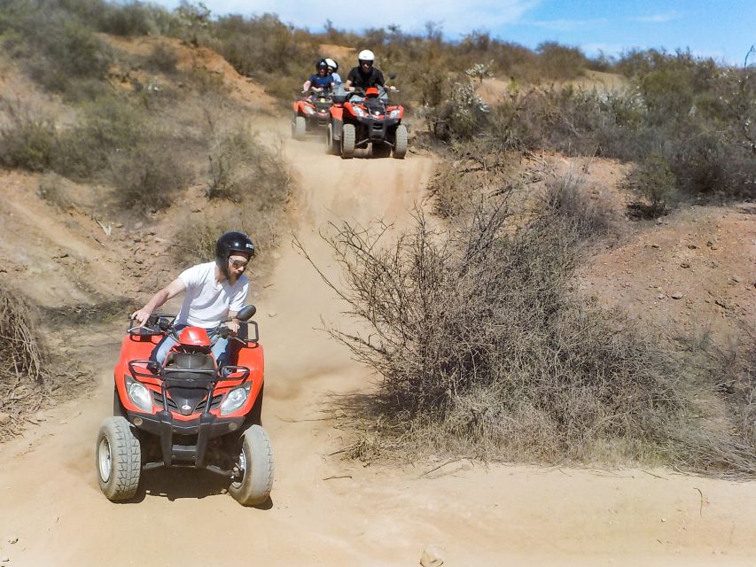 Tenerife: Quad Adventure Tour in Teide National Park - Single or double quad?