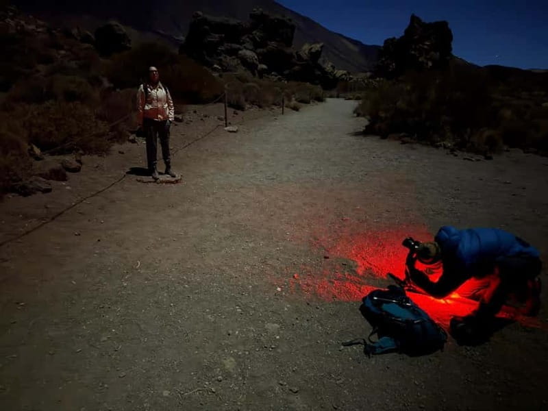 Tenerife: Stargazing Walk in Teide National Park - Why stargazing at Teide feels different