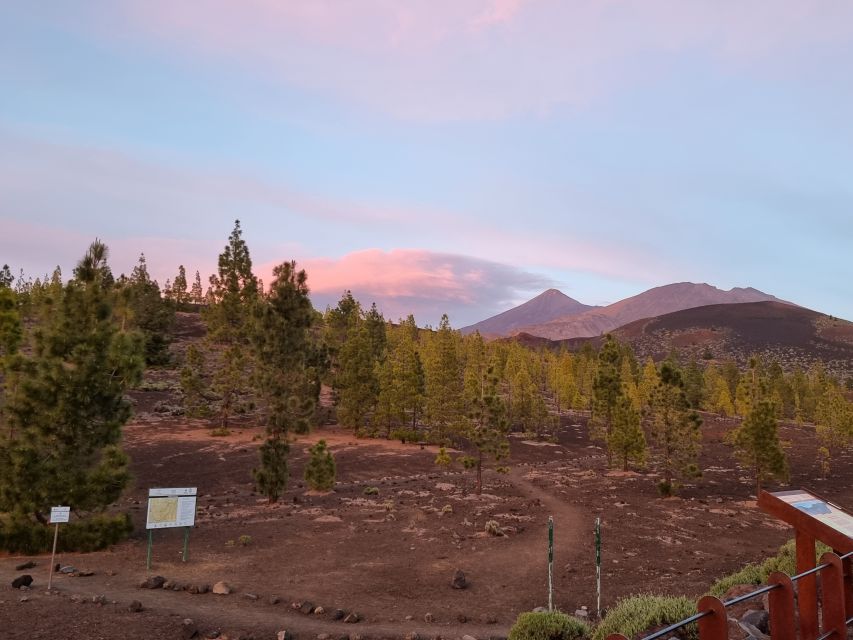 Tenerife: Sunset and Stargazing at Teide National Park - What the 12-inch telescope can reveal