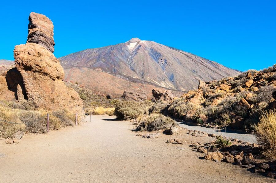 Tenerife: Teide and Las Cañadas Half-Day Tour - From Tenerife’s coast to Vilaflor at 1,414 meters