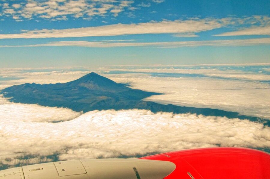 Tenerife: Teide and Las Cañadas Half-Day Tour - The pine forest and Tenerife’s water supply