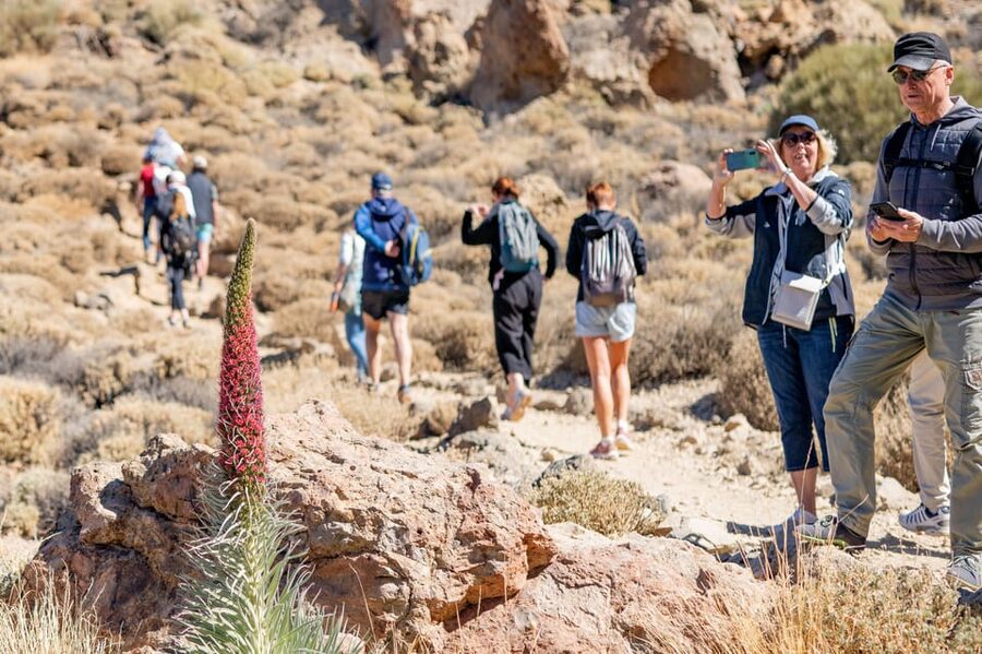 Tenerife : Teide Hiking - A guide makes the difference here