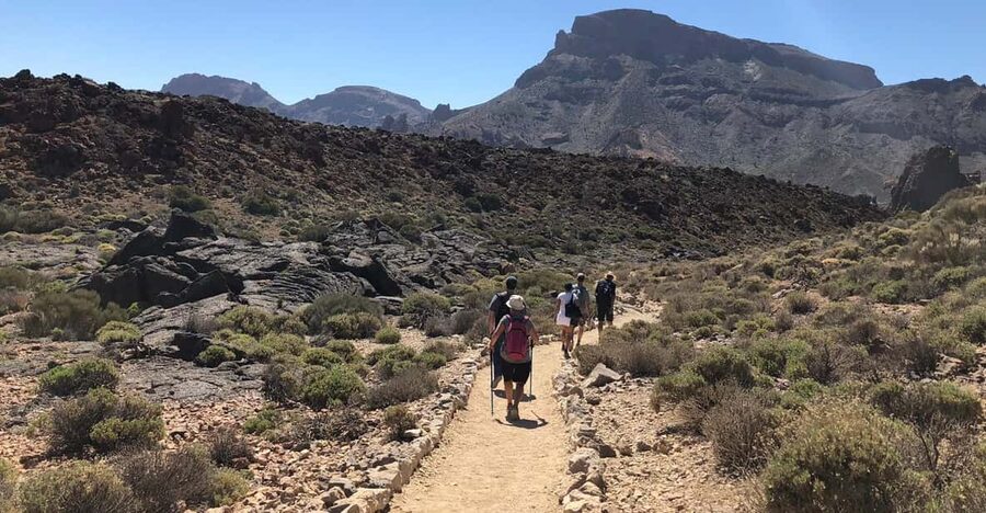 Tenerife : Teide Hiking - Booking, cancellation, and pickup advice