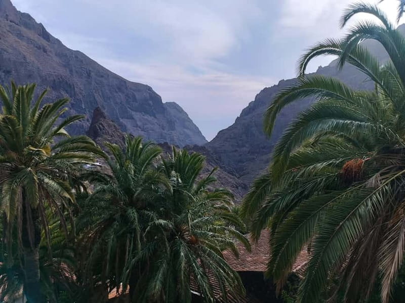 Tenerife: Teide, Masca, Garachico, and Sunset Exclusive Tour - What the $112 price really covers