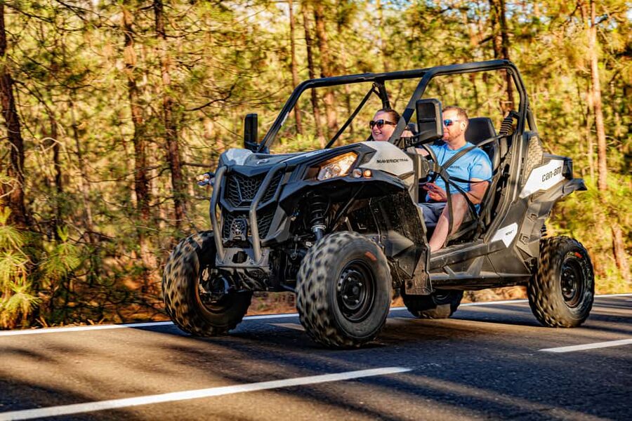 Tenerife: Teide Mountain Buggy On-Road GuidedTour with drink - Starting at Chío, with no time to waste