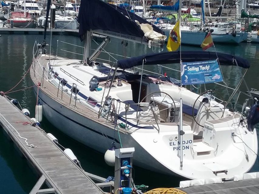 Tenerife: Teide National Park and Dolphins Sailboat Tour - Should you book this Teide and sailboat tour?
