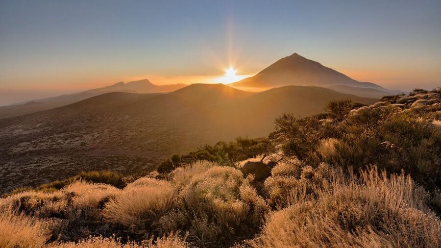 Tenerife: Teide National Park and Dolphins Sailboat Tour - Starting with pickup and the climb toward Teide