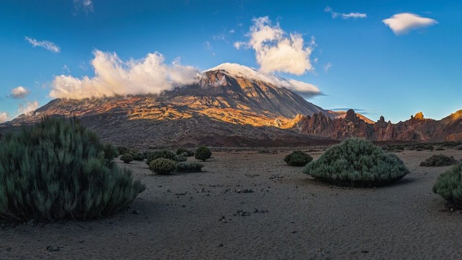 Tenerife: Teide National Park and Dolphins Sailboat Tour - From the high country to Tenerife’s south coast