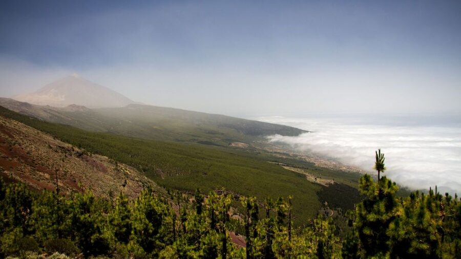 Tenerife: Teide National Park and Dolphins Sailboat Tour - Three hours on the water